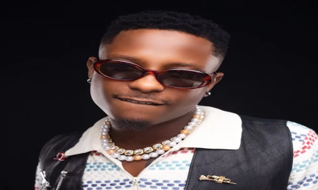 Kelvyn boy subtly reacts to allegations of impregnating an American lady