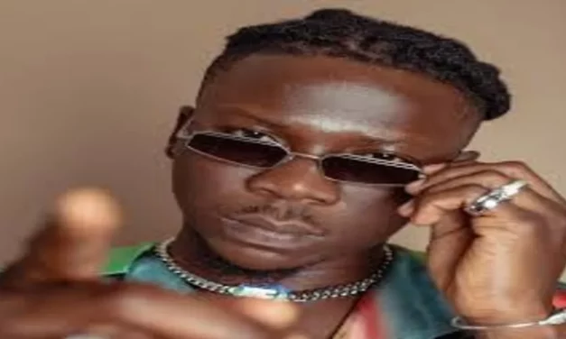 Humble your life because dead Chicken have value than dead humans – Stonebwoy cautions