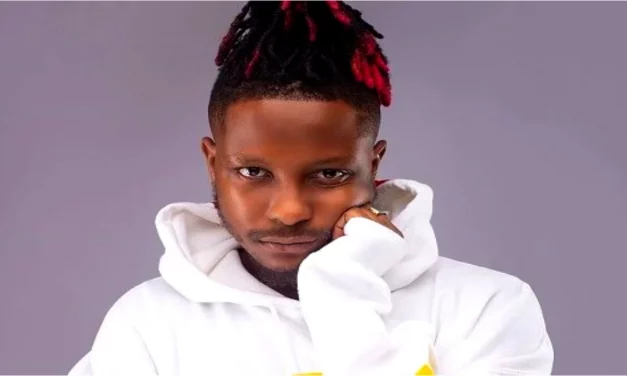 Kelvny boy Allegedly Impregnates Rich American Woman He’s Dating For Green Card 