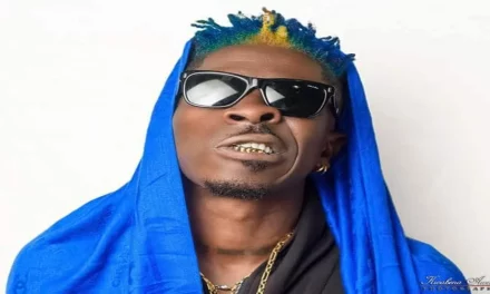 Stop proportioning blames on your fans – Shatta wale advises his colleagues