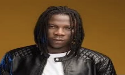 These things Affects People A Lot”-Stonebwoy Shares his view on trolls