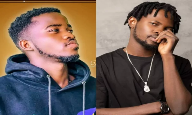 I am the biggest artiste Since Fameye – Dallerz