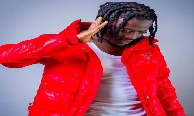 Watch: Fancy Gadam Discloses The Real “Pohim Zugu Da-Nyura” He Beefed