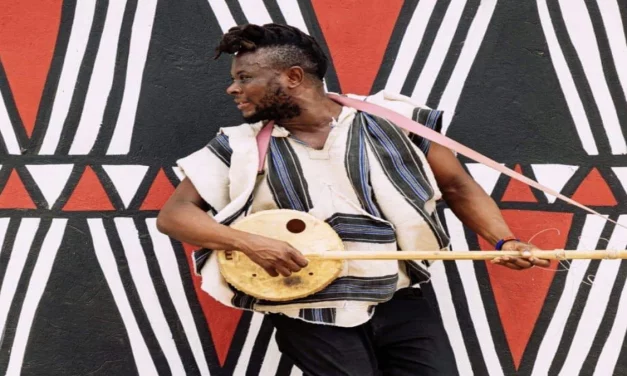 Meet Stevo Atambire: Ghana’s String Artist Projecting the Ghanaian  culture through Music in Europe