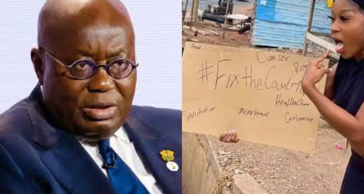 Efia Odo scold President Akufo Addo; Ordered him to Fix The Country