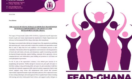 League of Young Female Leaders Rebrands as FEAD.