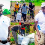 Soil in Focus: Over 500 Smallholder Farmers Trained in Soil Health and Lime Application Across Northern Ghana.
