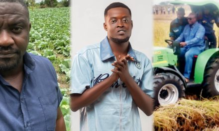 Don Ziggy Champions Ghana’s Future with ‘Kparlim’, a Song Promoting Farming & Agricultural Development.