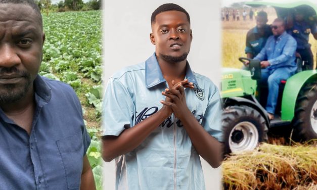 Don Ziggy Champions Ghana’s Future with ‘Kparlim’, a Song Promoting Farming & Agricultural Development.